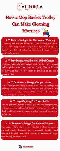 How a Mop Bucket Trolley Can Make Cleaning Effortless.jpg