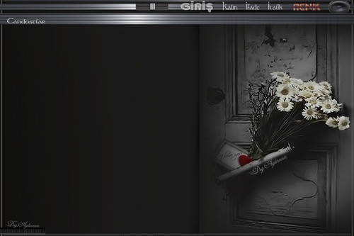 susarım sade çiçekli tema.jpg