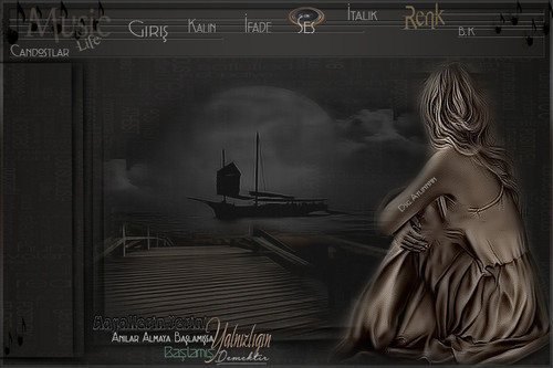 hayallerin yerini bayan tema.jpg