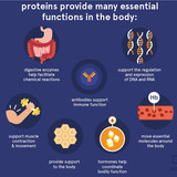 protein2466
