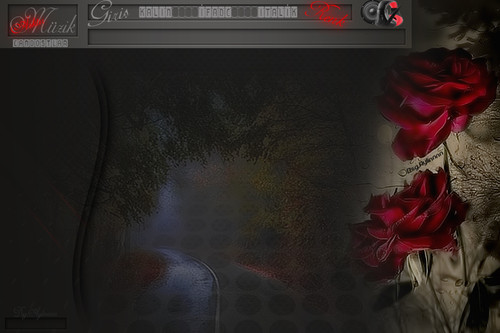 susan bir kadın sade güllü tema.jpg