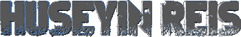 11.gif