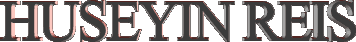 4.gif