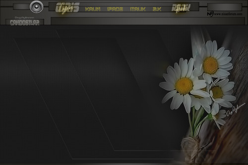 derdini tebessümle sade papatyalı tema.jpg