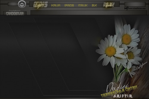 derdini tebessümle papatyalı tema.jpg