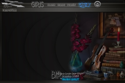 bir türkünün kemanlı.jpg