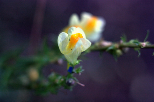 IMG 2543.jpg
