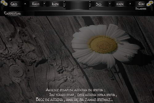 akılsız insan manzara.jpg