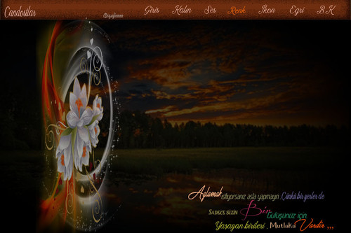 aglamak istiyorsanız çiçekli.jpg