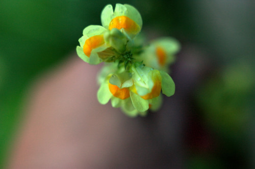 IMG 2538.jpg