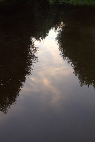 IMG 2293.jpg