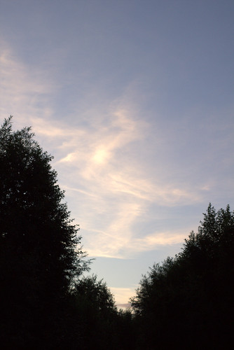 IMG 2297.jpg
