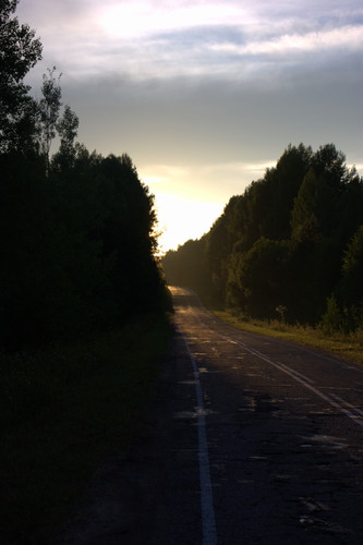 IMG 2529.jpg