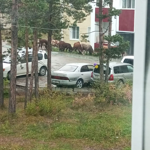 Jww4z87nER2IiEA0wufmXwGtQkcJeRSHtP xmssBDdCwOq6d12zribWzvdRDkKeNaCBf1D2wMk1gcN9x436sFa4qcN06W OLiebY.jpg