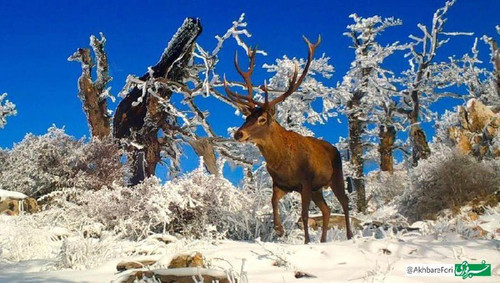 vcg783kDQvIB PJ4INq 3M8gHiDHsAwHlWUvpe5uUutwkWeNK nmUx3GfoFMCTh vQ1tgSyB49CVgPVgLayRjn9vM7jIrw B68f6.jpg