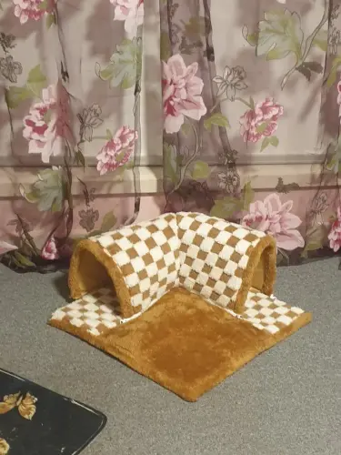 e11102bf 9ba7 4a1c a644 35c21c7a9b42 (1).webp