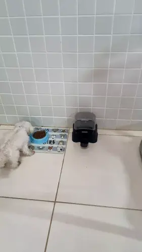 br 11134103 7r98o lxtlc7hnmsmu4a.webp