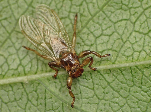 kkNbbiMH1zJ8MQTFCJPfjBeSRi7o5S0qNU qTwuWTBTXbQuITNy p8ra7TfFEn5OnROXIVP4ocP4EEgrxNv4 MISRrSSEv Ckjo3.jpg