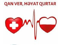 458947513 851195210530073 2358678390958154339 n.jpg? nc cat=104&ccb=1 7& nc sid=127cfc& nc ohc=kGPw5.jpg