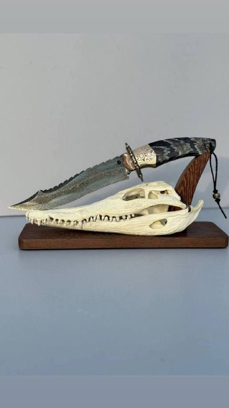 WMA5Ly0yPuuSLEpPkuCqc66xbzH9spZ2z srIMLlLJbHh54igXChDIbZyNlJjHh Z0EiFtHTONiI msbepQVxbQvnj7XUMcUBIps.jpg