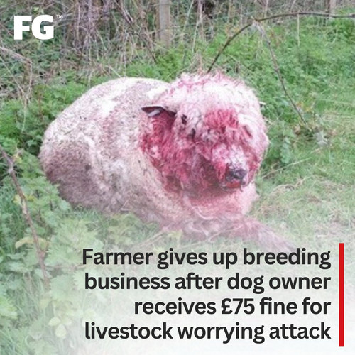 GW9mjHfWcAE7n k?format=jpg.jpg