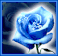 rose.gif
