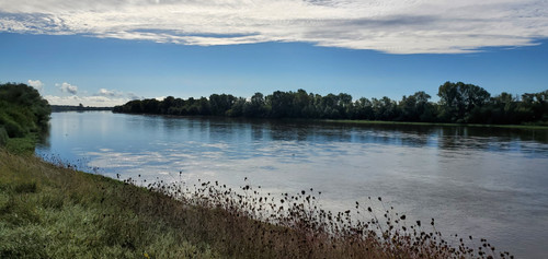 Rando SULLY SUR LOIRE 8 Septembre (12).jpg