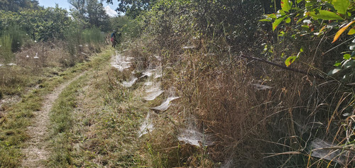 Rando SULLY SUR LOIRE 8 Septembre (13).jpg