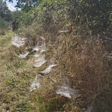 Rando SULLY SUR LOIRE 8 Septembre (13)
