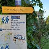 Rando SULLY SUR LOIRE 8 Septembre (4)