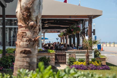 Patio Summer e0f044db 5056 a36a 07a8f4387cfd40c6.jpg