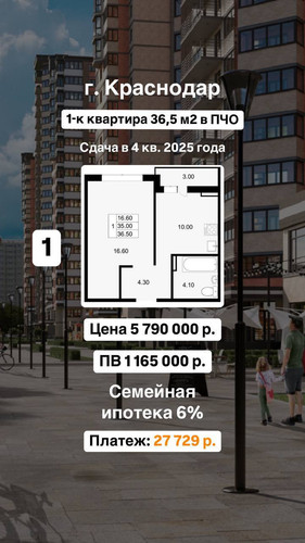 1725806898 826596214.jpg