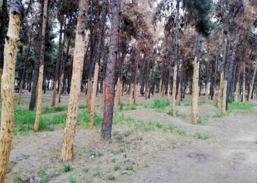 E3pd9QBU16YfjdjkM4p7MbApn 3z2Uf8uTG qegzhO EG8rRk0J8pCR8ckZuwX9q7 bNnlddDQeXrBJy62Vldhm0ASdbBsQQbrsr.jpg