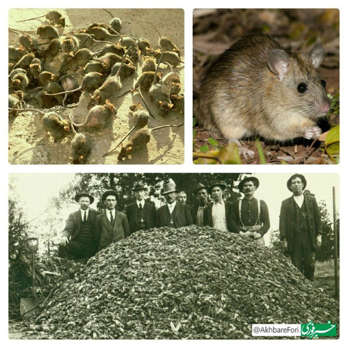 eAWYDoXSN8bbotxIOC9oauhTqXMtiDuNYjymi9GCRM K95pK67sDv7iVxb Pkt0JtK59813W3WPO1wwcym m9T blL lTfSmP5F2.jpg