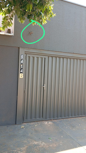 Imagem do WhatsApp de 2024 09 09 à(s) 10.59.36 930aab8b.jpg