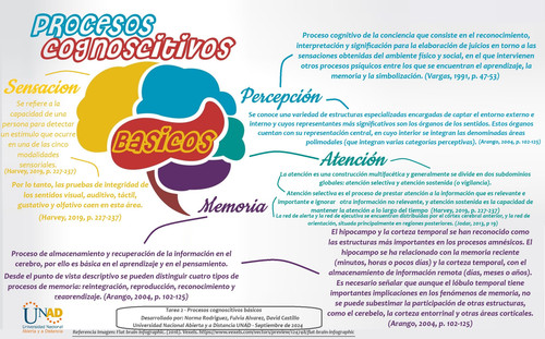 Infografia procesos cognitivos basicos.jpg