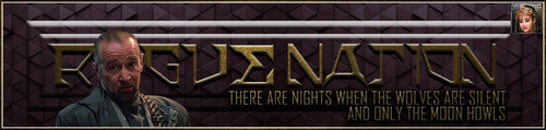 Carlin Banner.jpg