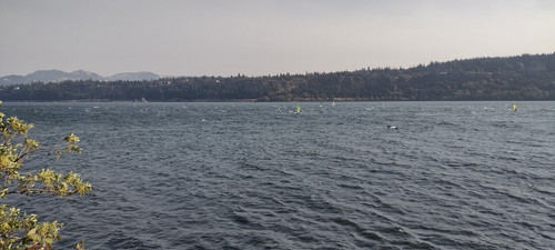 IMG 20240908 155936824 HDR.jpg