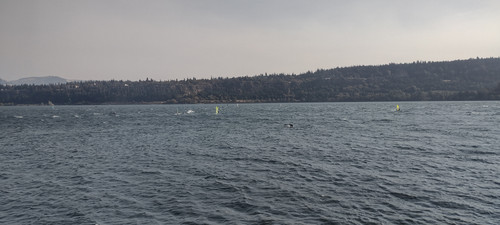 IMG 20240908 155939781 HDR.jpg