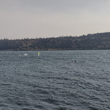 IMG 20240908 155939781 HDR