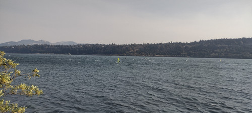 IMG 20240908 155927896 HDR.jpg