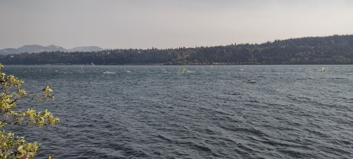 IMG 20240908 155935226 HDR.jpg