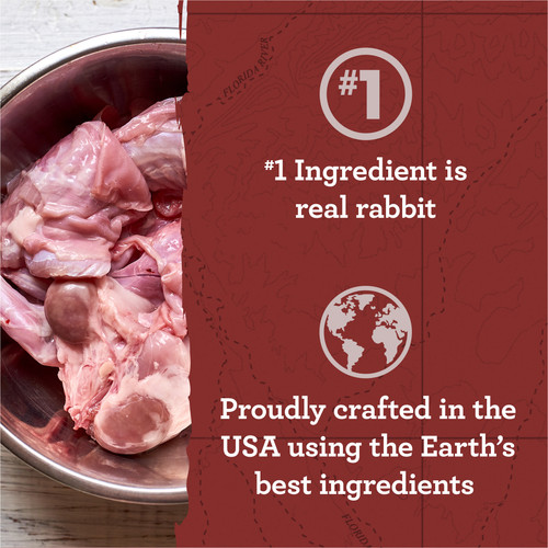 ZUK DT LL Rabbit FB1.jpg