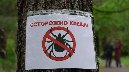 POnFy2V8icZKO1LANeyiwB3m46wCe5M3IW e8v9hpA SCVyZtucLCXONHoN4iivP5eZy6hORXX7qE5hEPgFUZ0iYC wfgy7b9pWm.jpg