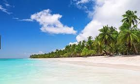 Saona Island Snorkeling.jpg