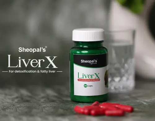 Fatty Liver Disease: Diet & Lifestyle Guidance.webp