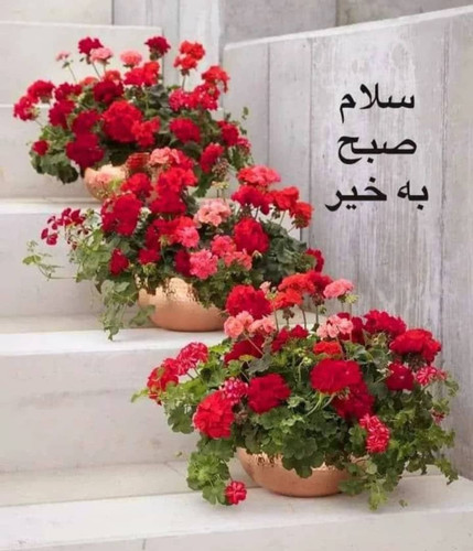 GXAArF WcAAIFBS?format=jpg.jpg