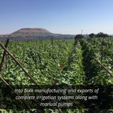 Best Drip Irrigation Systems In India.png