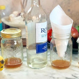 fruitfly2402
