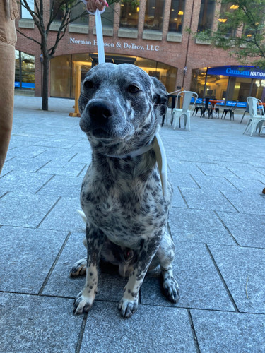 459009201 10234382030200150 8898487158472410599 n.jpg